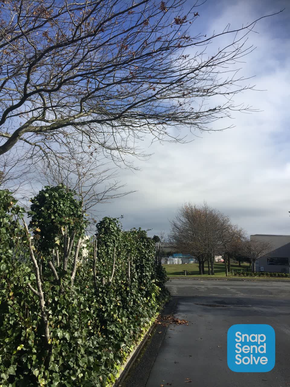 The photograph attached to this overgrown vegetation report