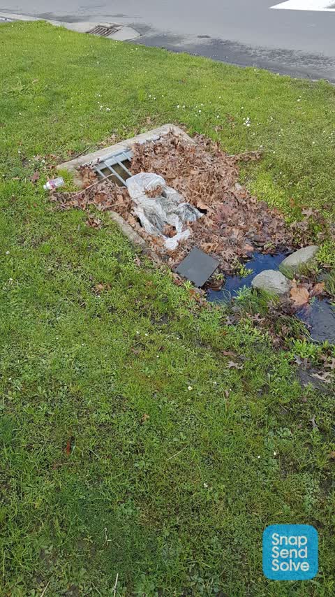 Litter, a report photo