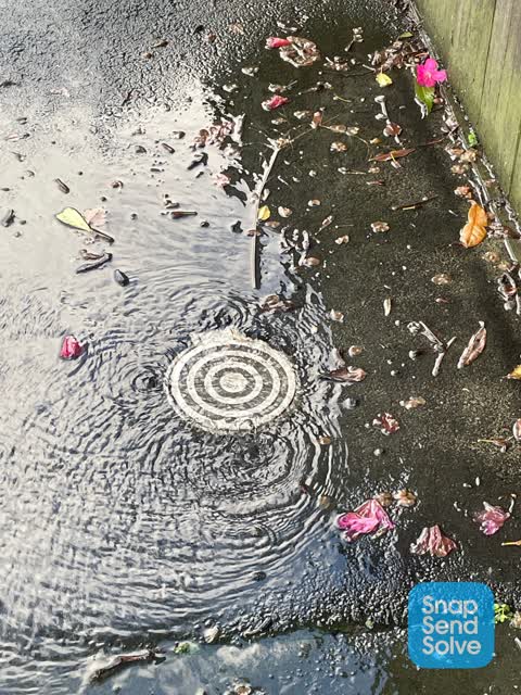 Water Leak, a report photo