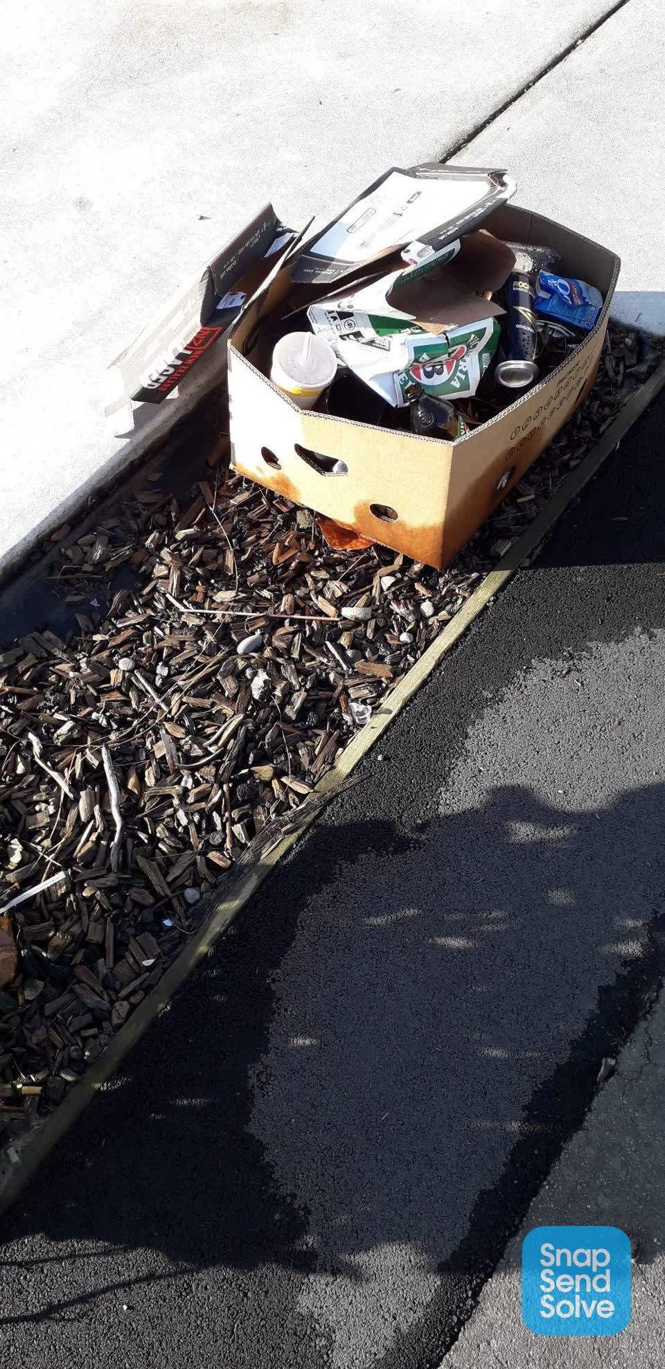 The photograph attached to this dumped rubbish report