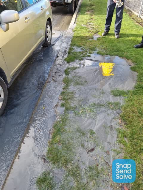 Water Leak, a report photo