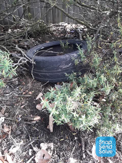 Dumped Rubbish — a report photo