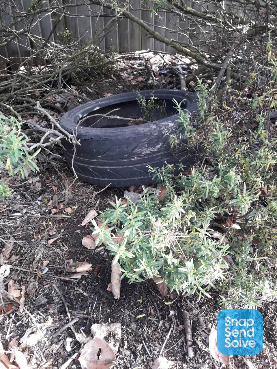 The photograph attached to this dumped rubbish report