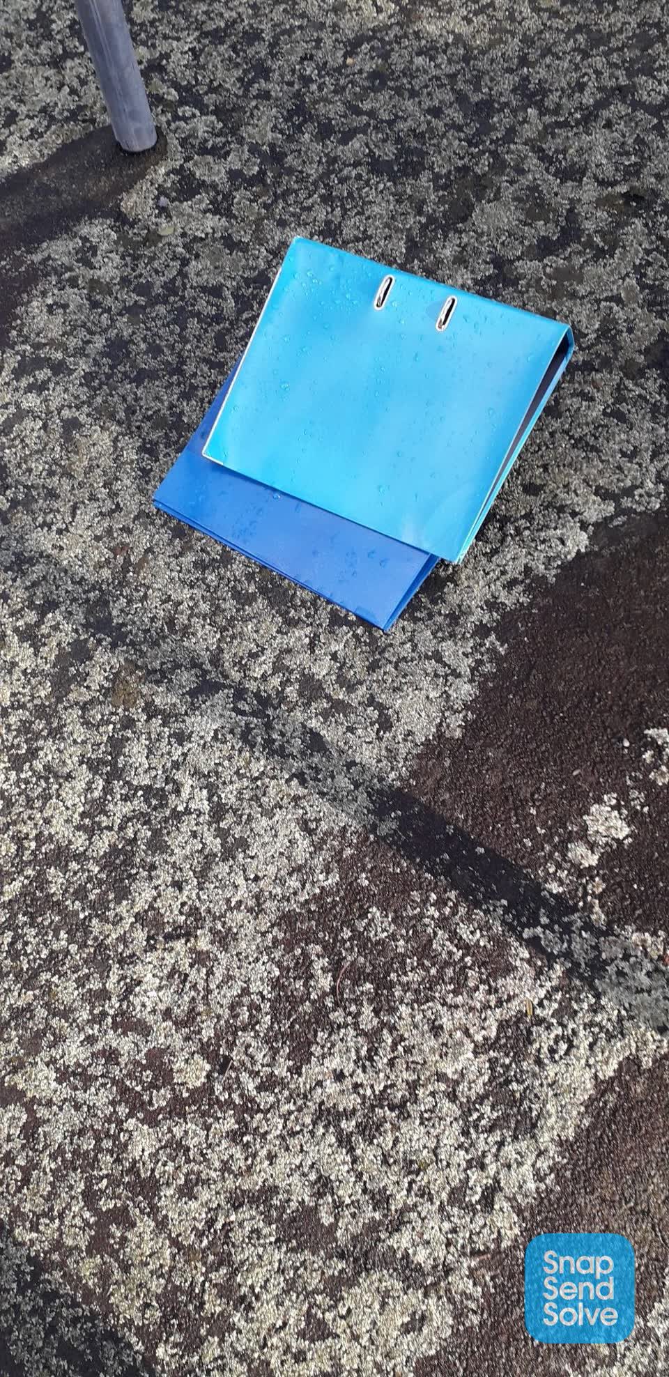 The photograph attached to this litter report