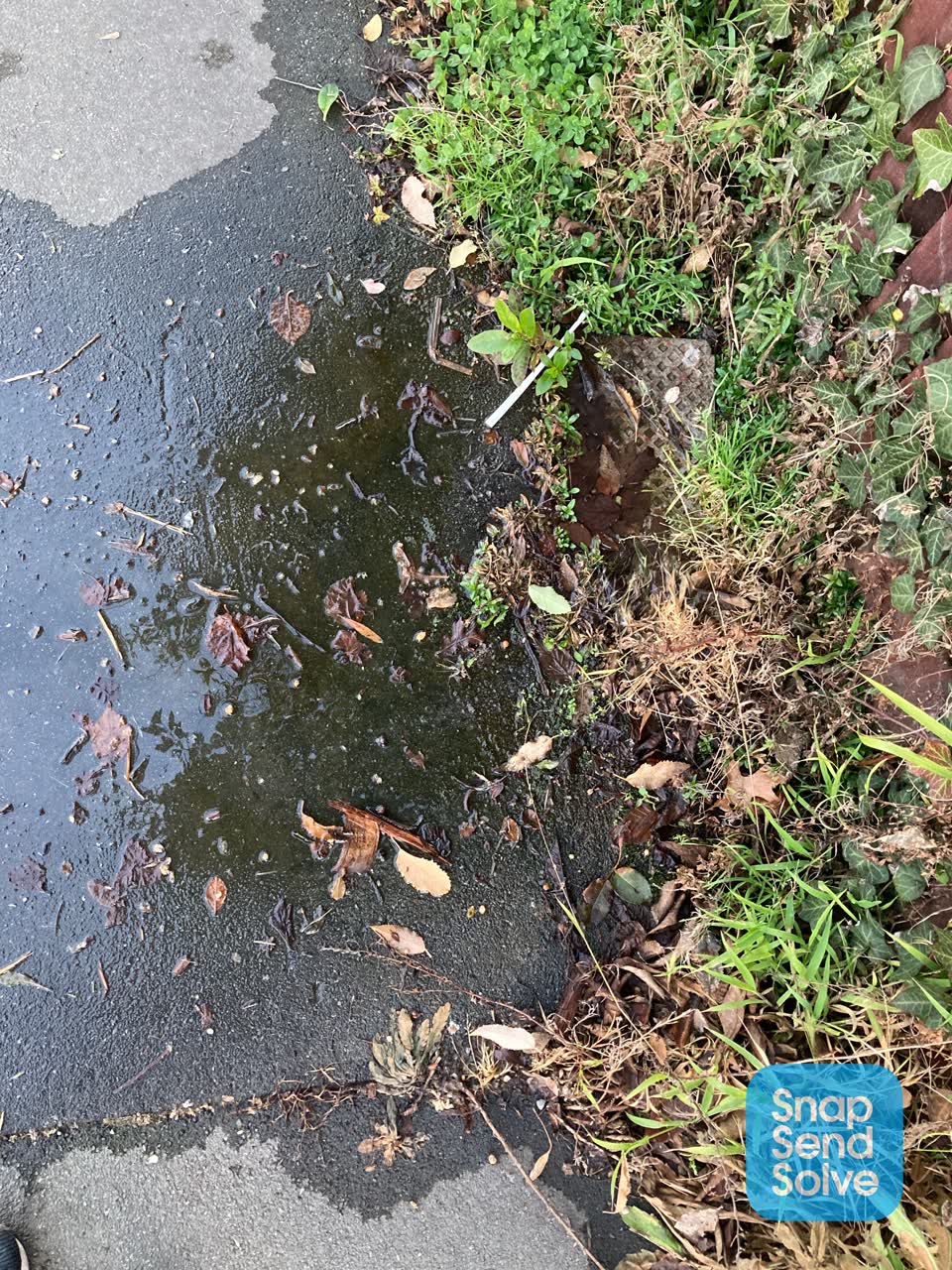 The photograph attached to this water leak report