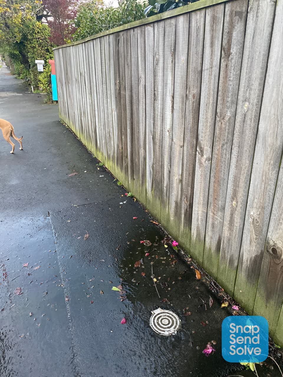 The photograph attached to this water leak report
