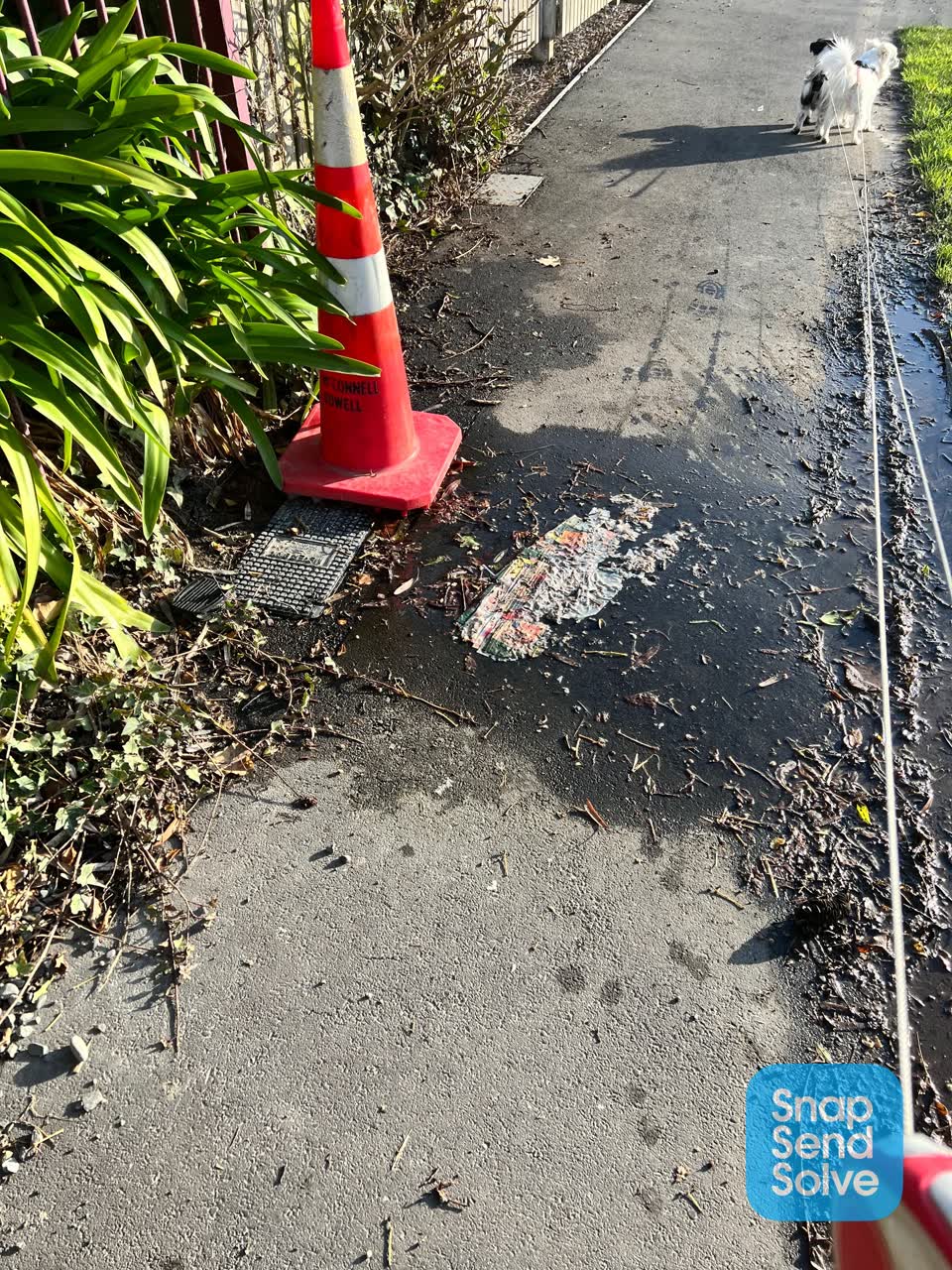 The photograph attached to this water leak report