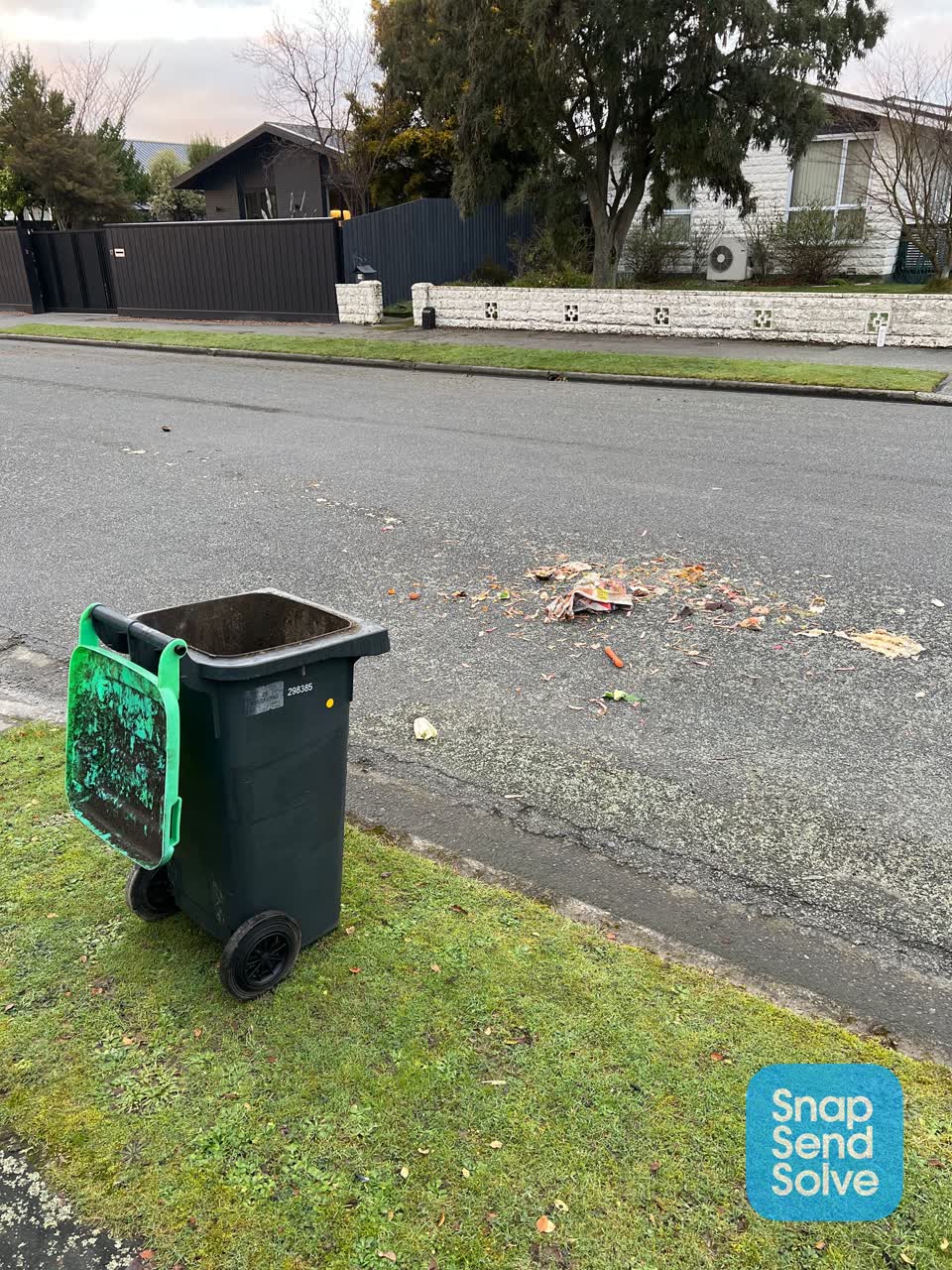 The photograph attached to this rubbish and bins - general report