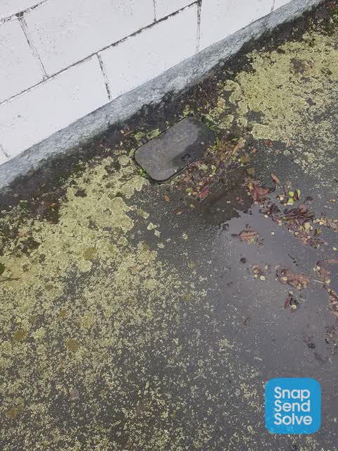 Water Leak, a report photo