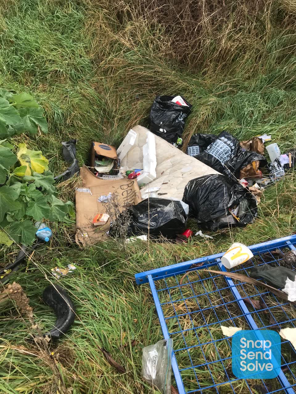 The photograph attached to this dumped rubbish report