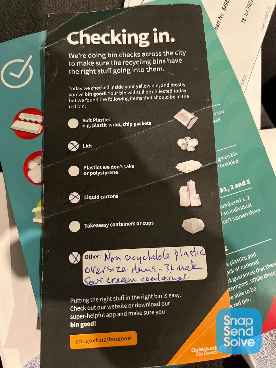 The photograph attached to this rubbish and bins - general report