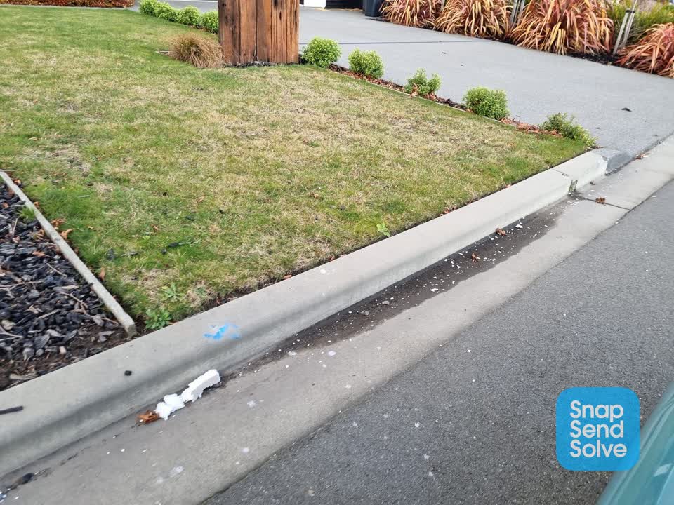 The photograph attached to this litter report