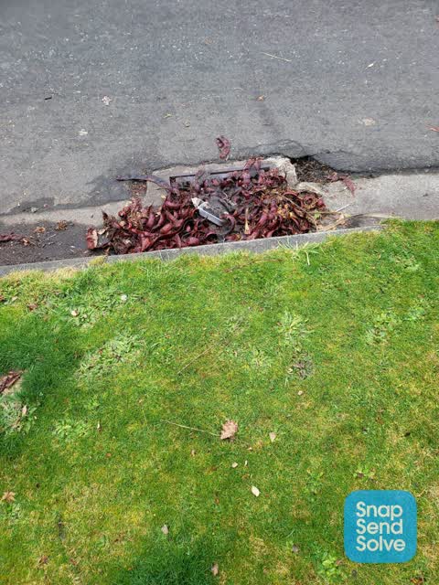 Street Cleaning, a report photo