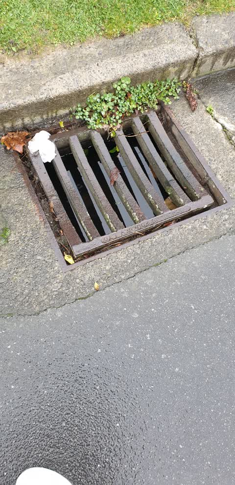 Street Gutters / Storm Water, a report photo