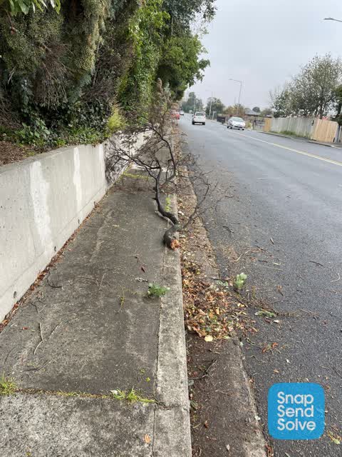 Overgrown Vegetation — a report photo