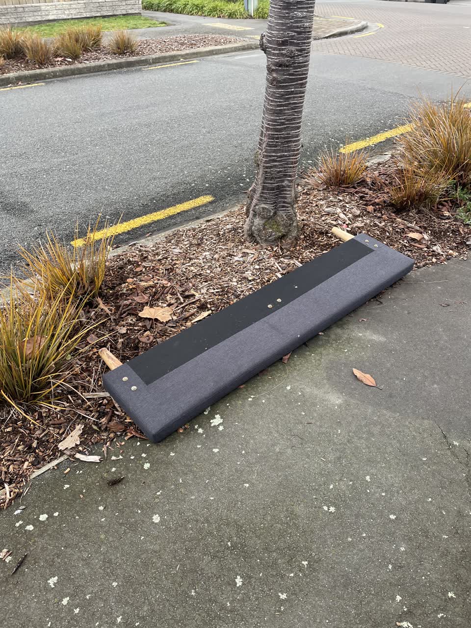 The photograph attached to this dumped rubbish report