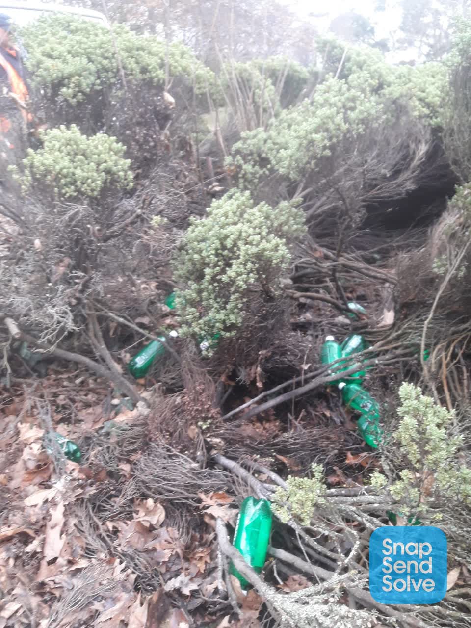 The photograph attached to this park - general request report