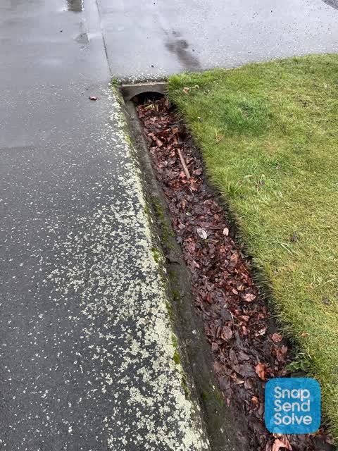Street Gutters / Storm Water, a report photo