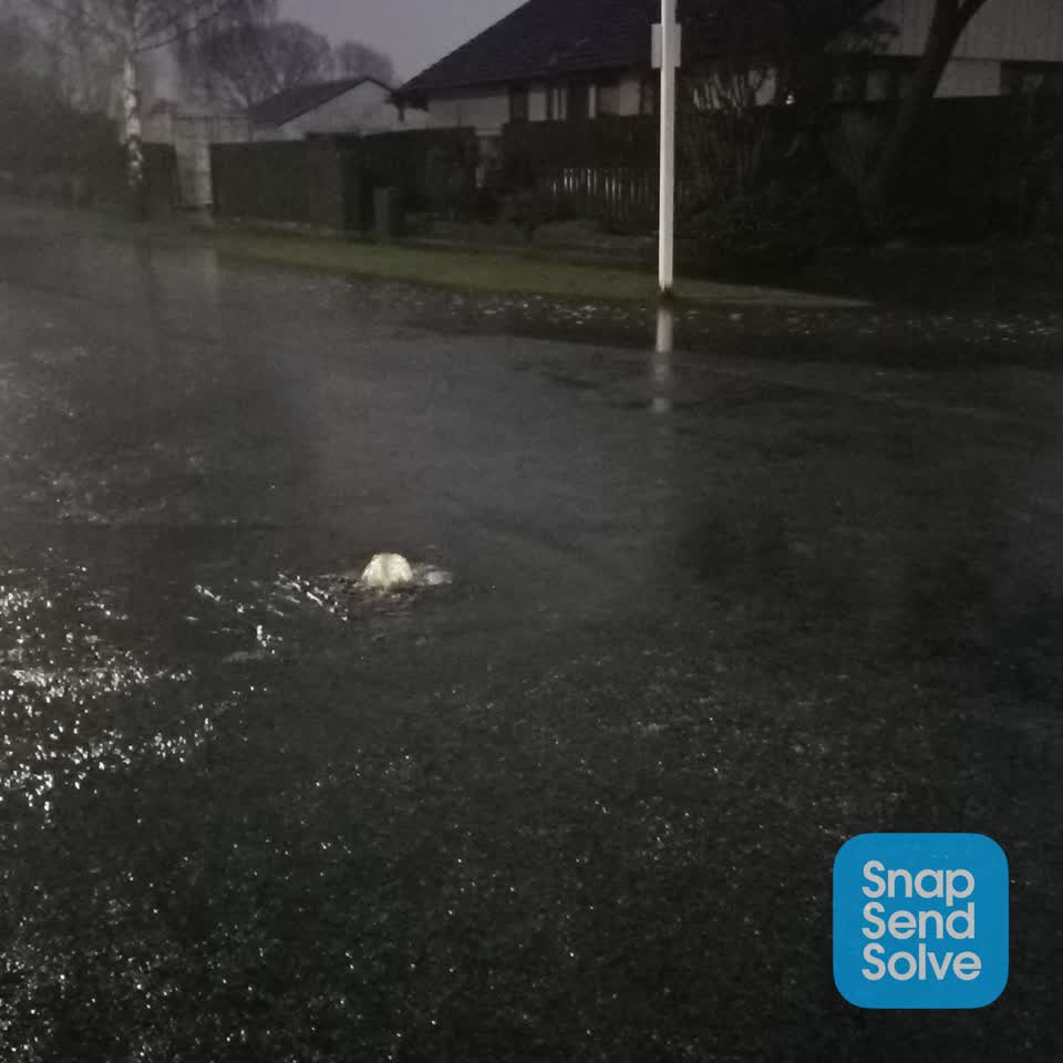 The photograph attached to this sewer general report