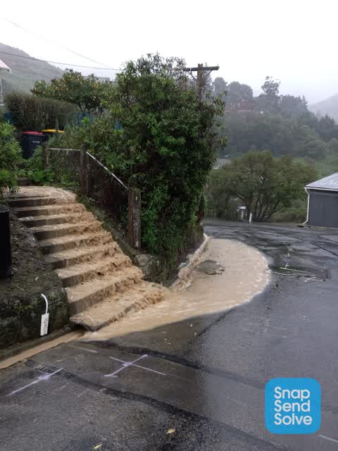Street Gutters / Storm Water — a report photo