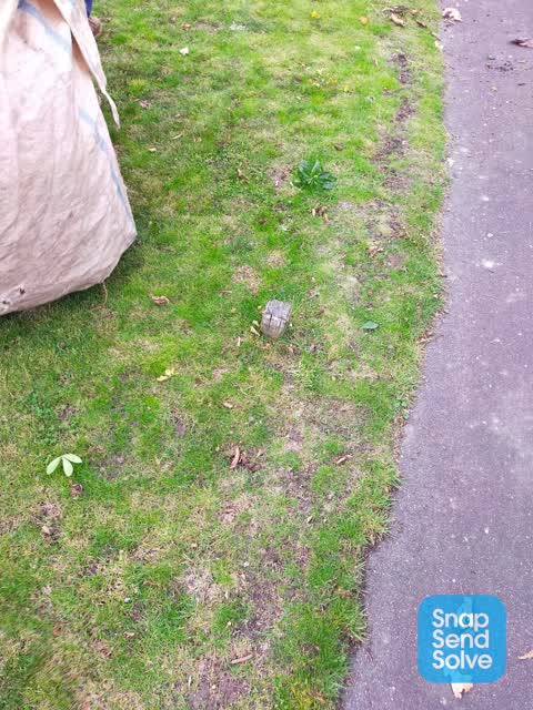 General Request, a report photo