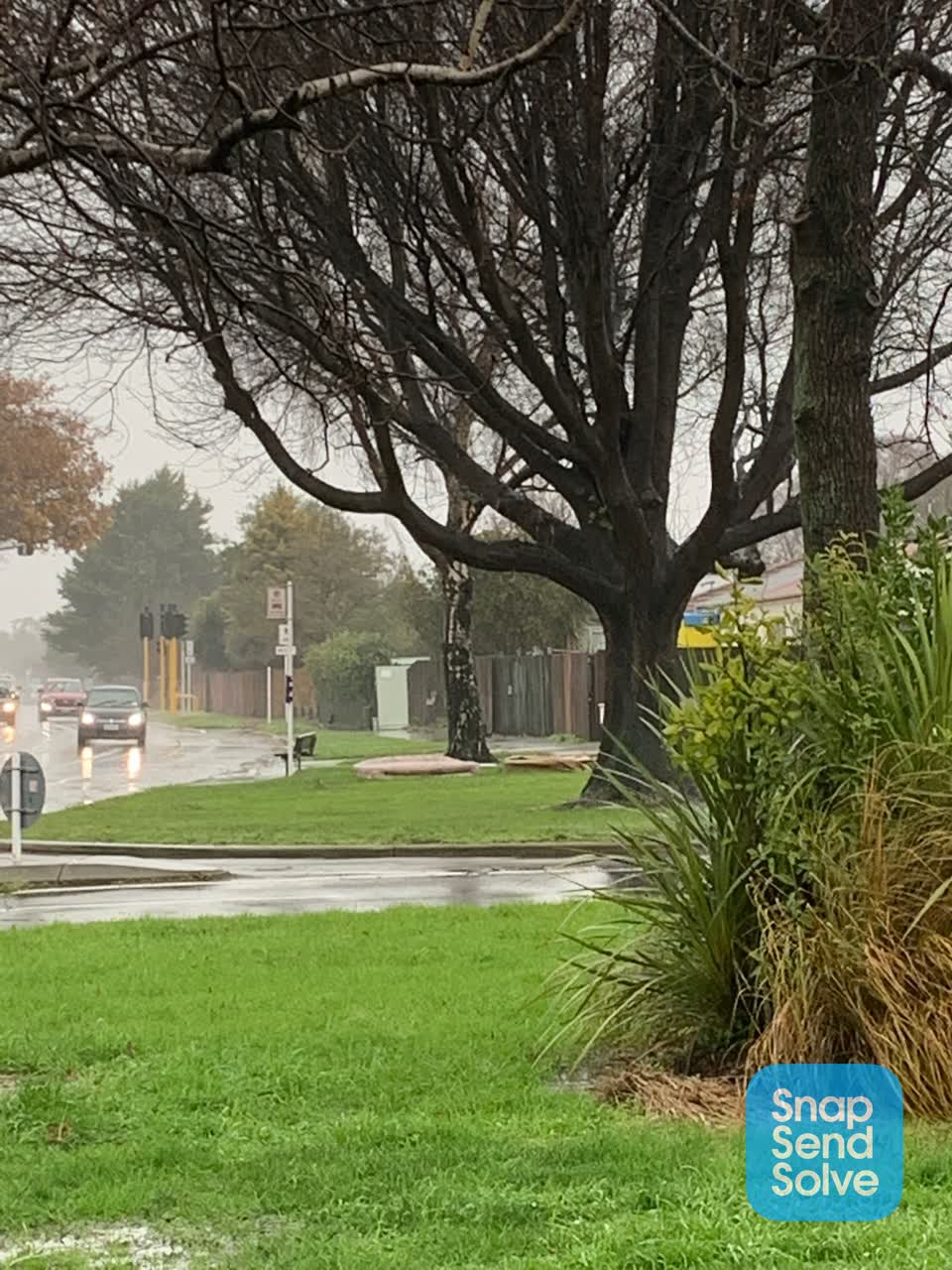 The photograph attached to this dumped rubbish report