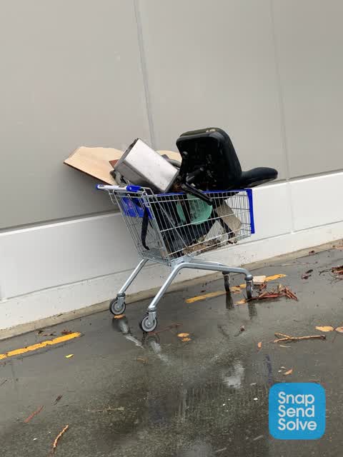 Rubbish and Bins - General — a report photo