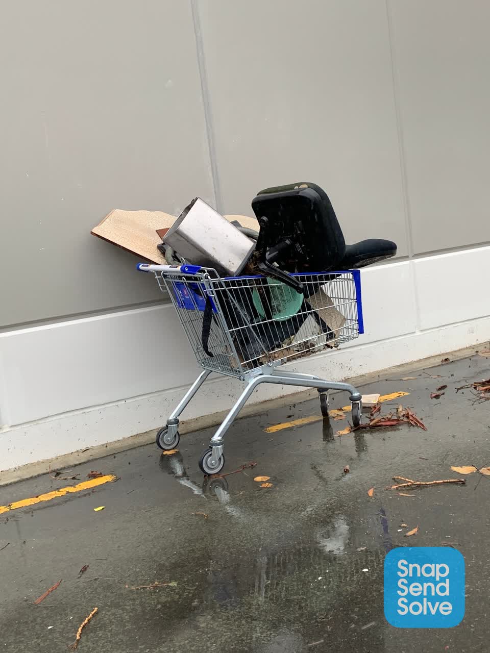 The photograph attached to this rubbish and bins - general report