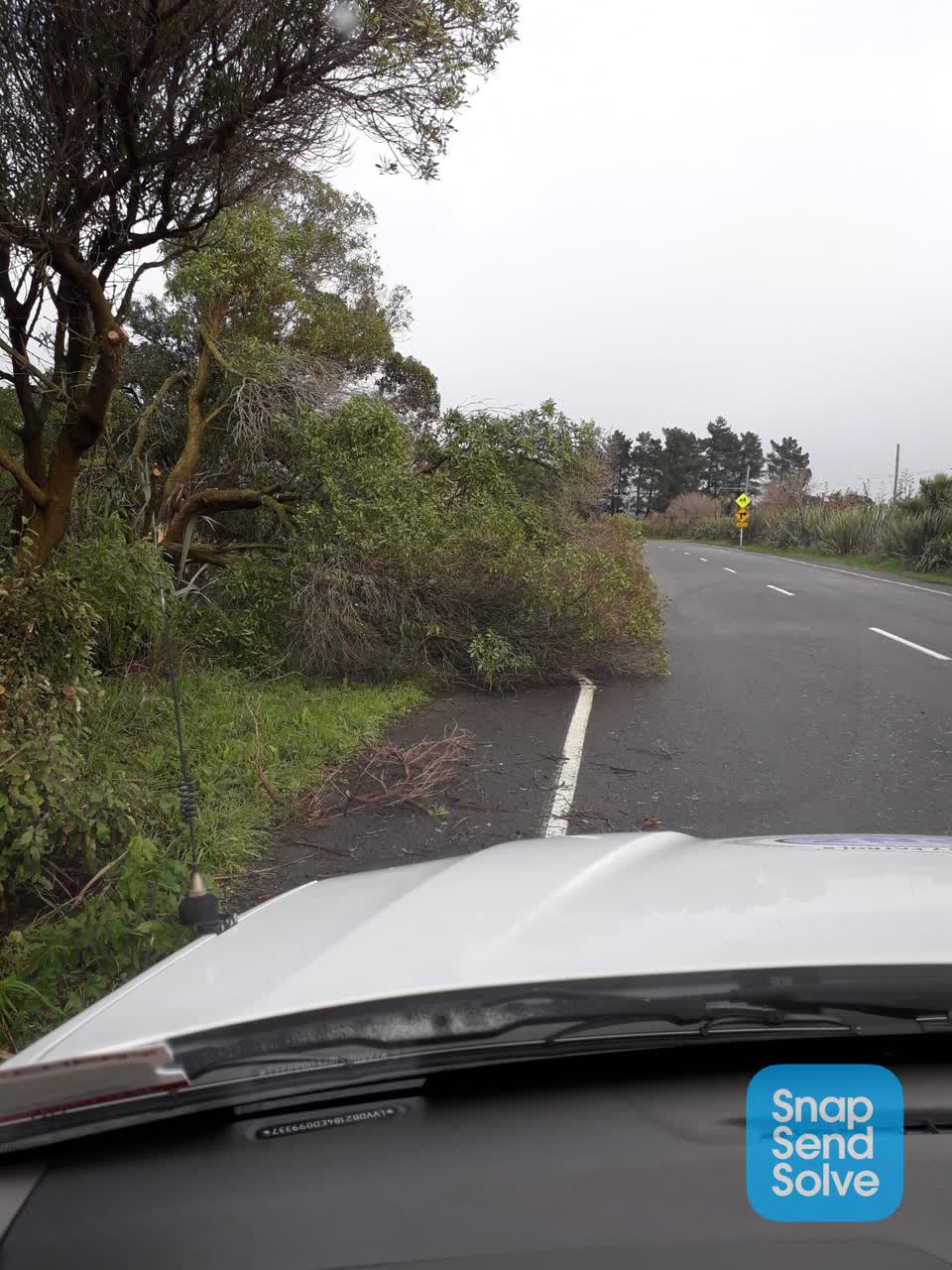 The photograph attached to this fallen tree report