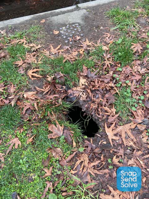 Pavement - Damaged, a report photo