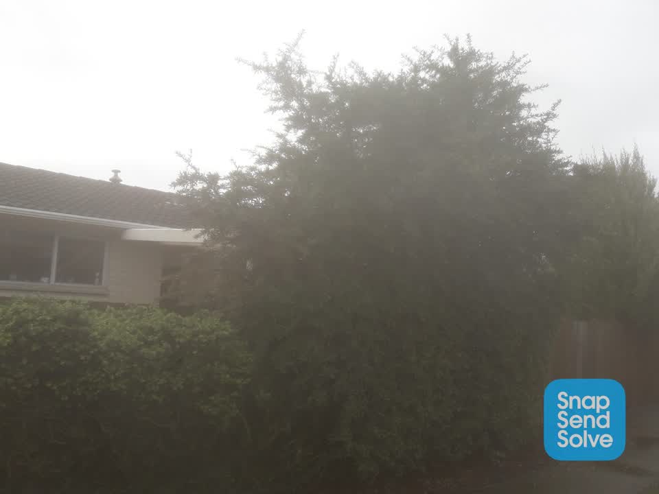 The photograph attached to this overgrown vegetation report