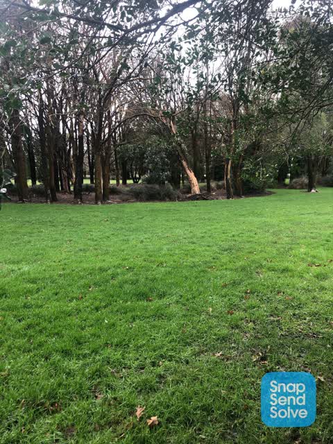 Park - General Request — a report photo