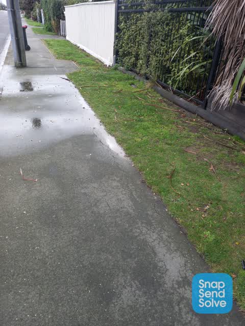 Water Leak, a report photo