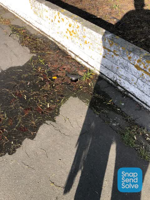 Water Leak, a report photo