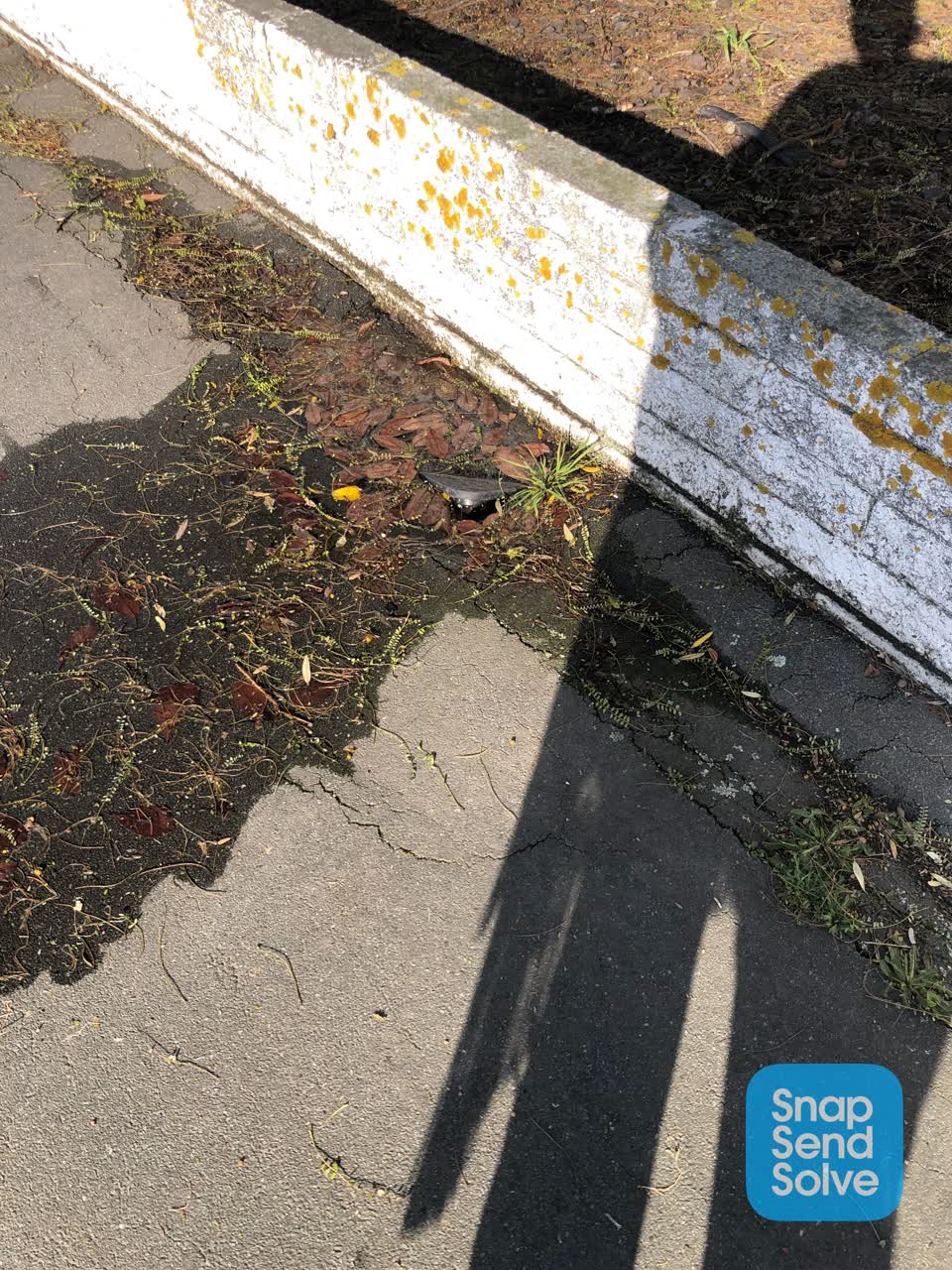 The photograph attached to this water leak report