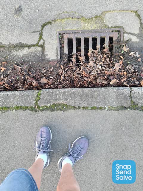 Street Gutters / Storm Water, a report photo