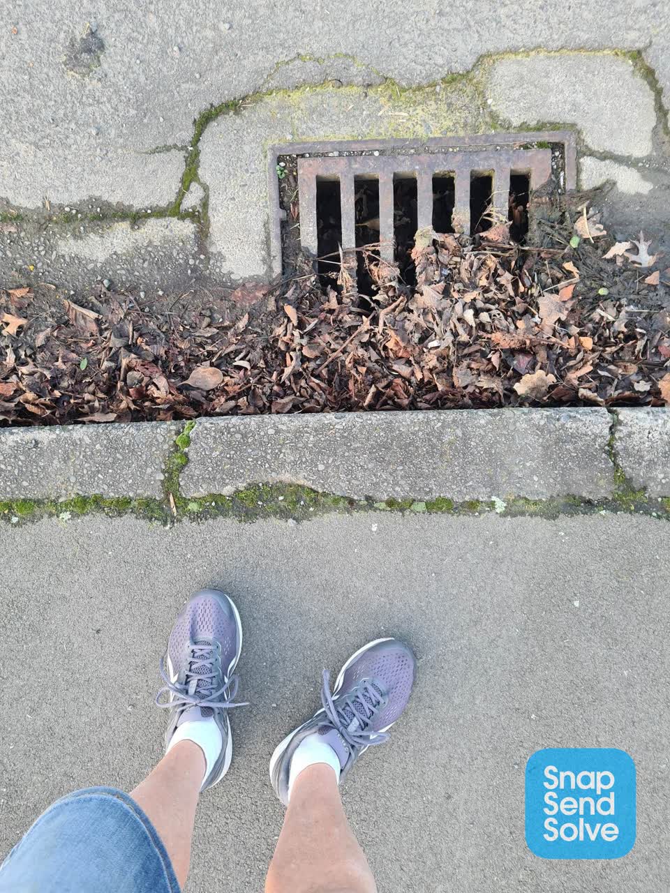The photograph attached to this street gutters / storm water report