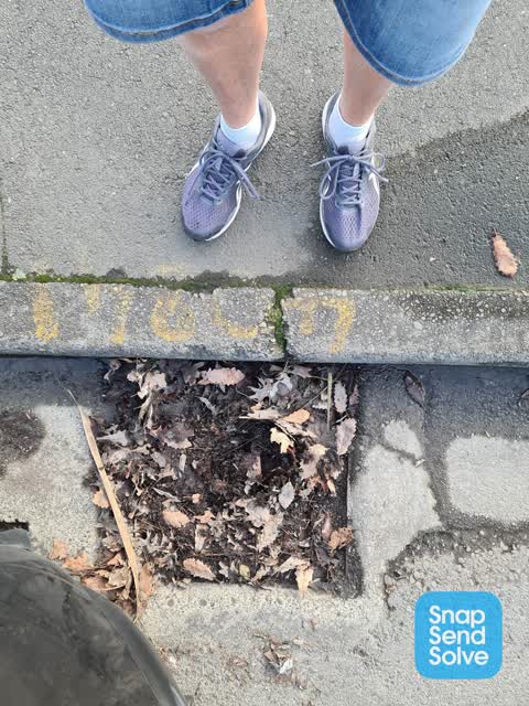 Street Gutters / Storm Water, a report photo