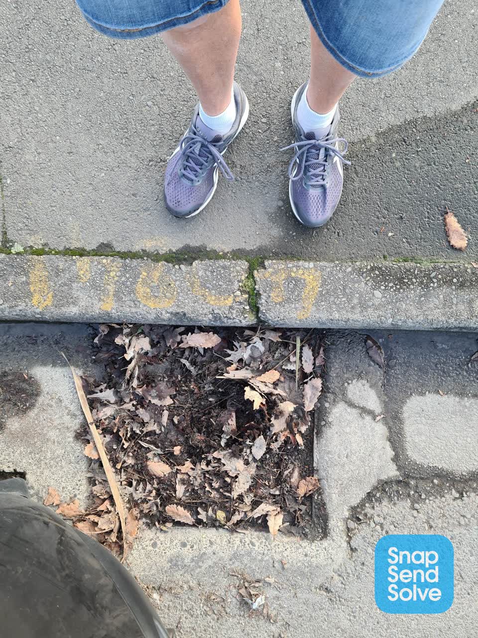 The photograph attached to this street gutters / storm water report