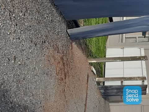 General Request — a report photo