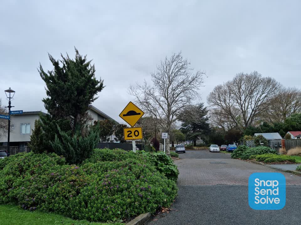 The photograph attached to this overgrown vegetation report