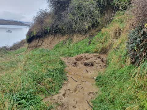 Park - General Request, a report photo
