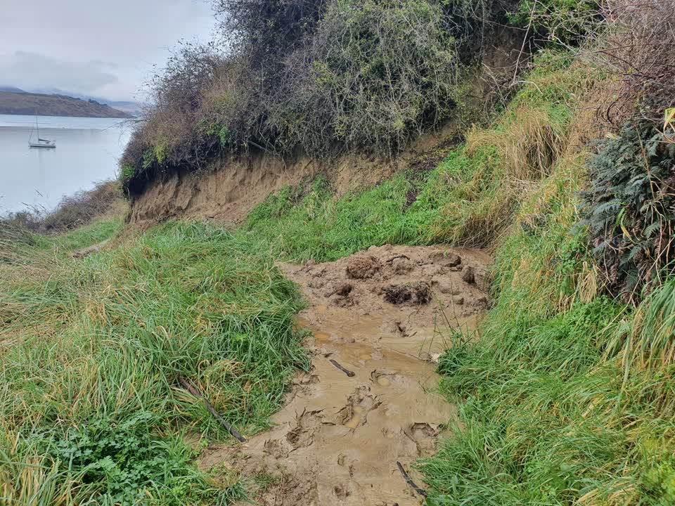 The photograph attached to this park - general request report