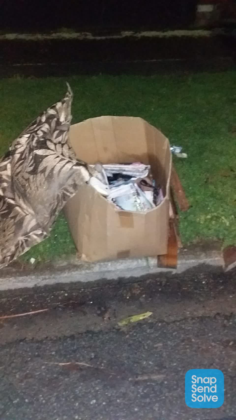 The photograph attached to this dumped rubbish report