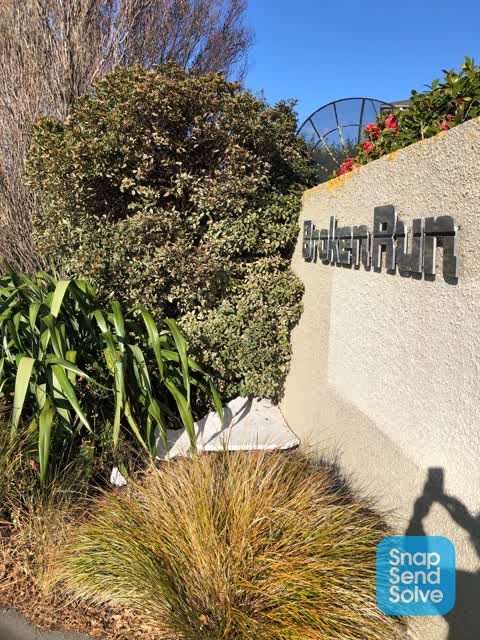 Litter, a report photo