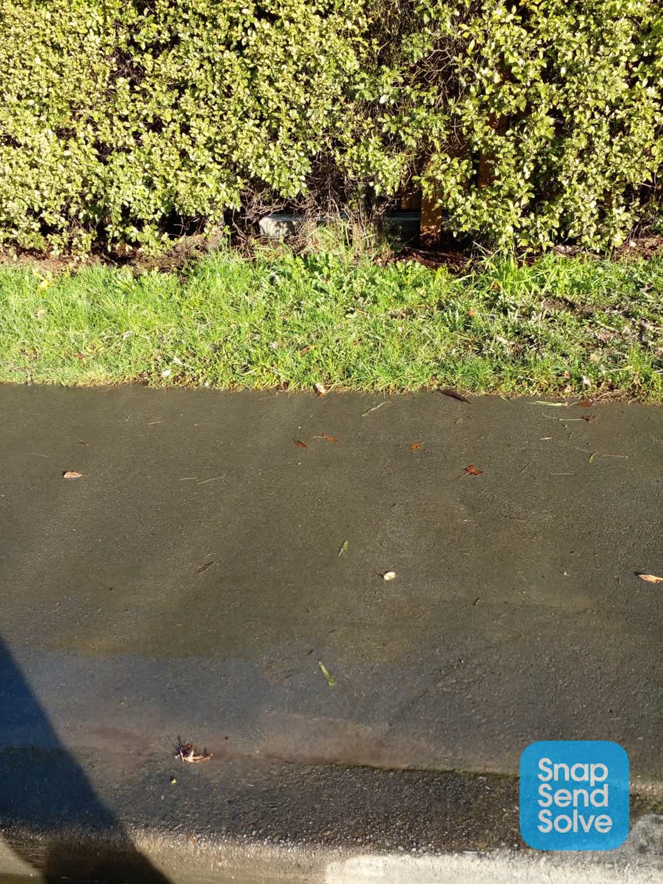 The photograph attached to this water general report