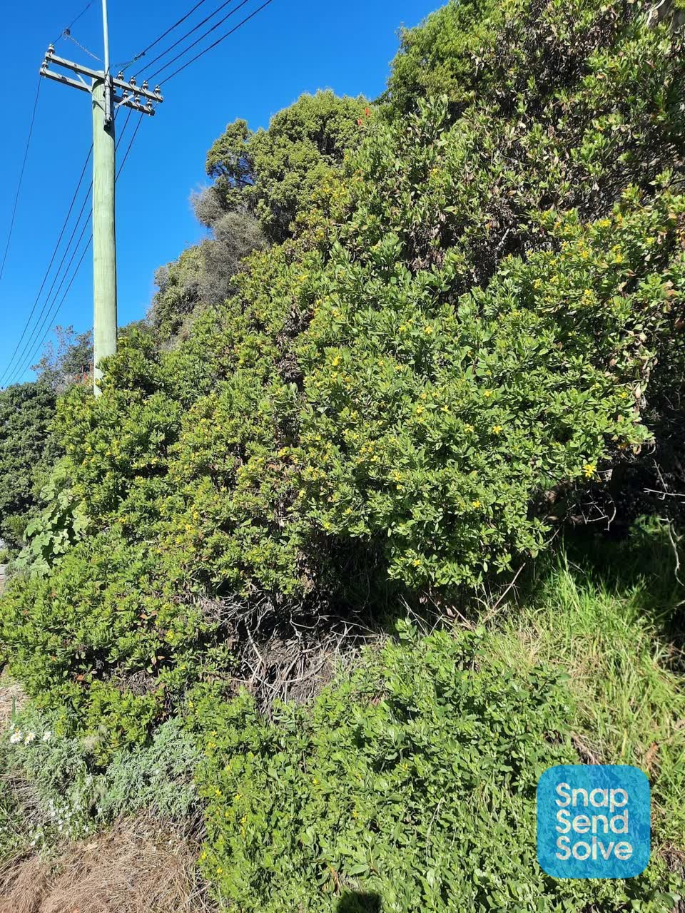 The photograph attached to this park - general request report