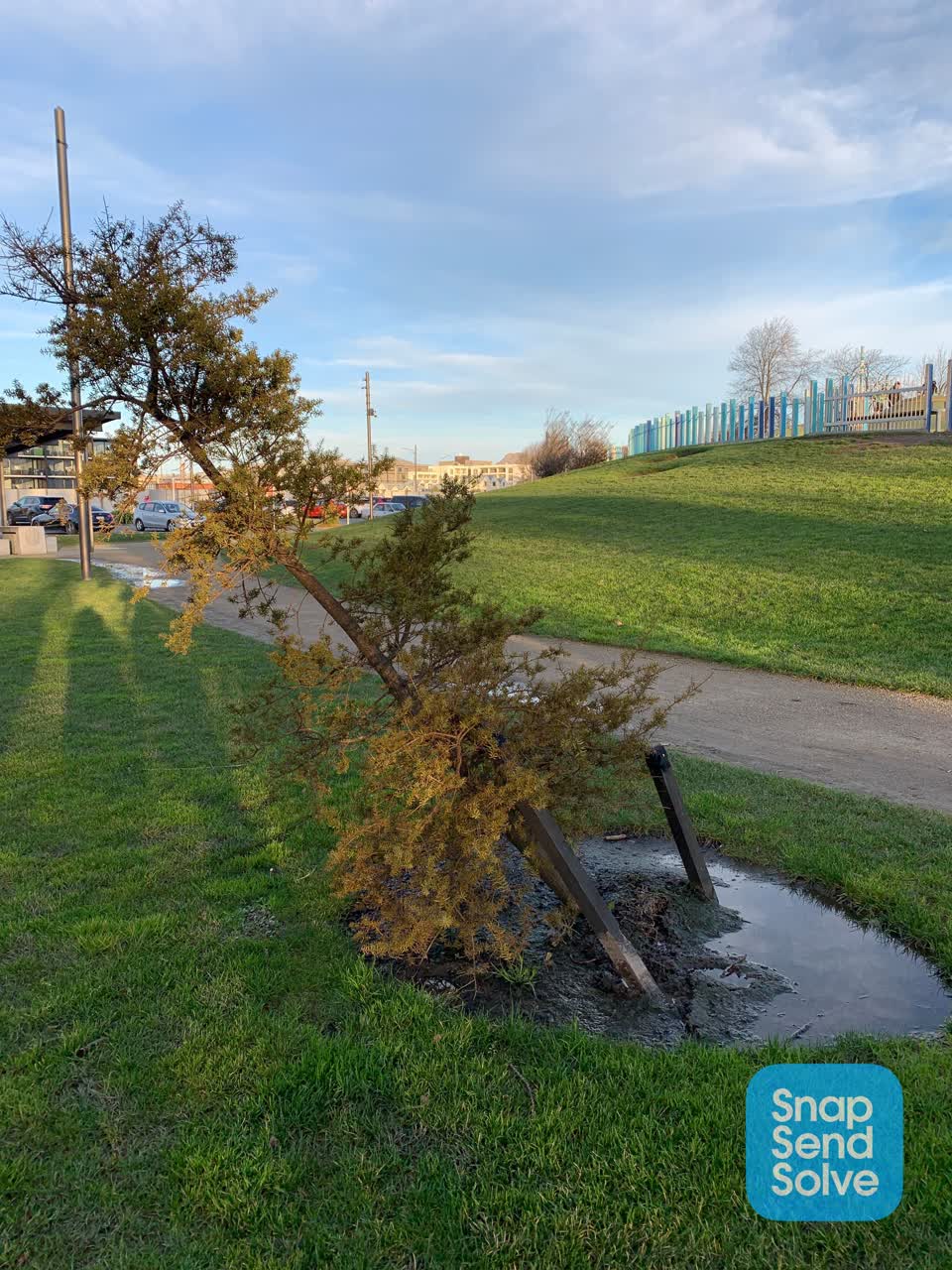 The photograph attached to this fallen tree report