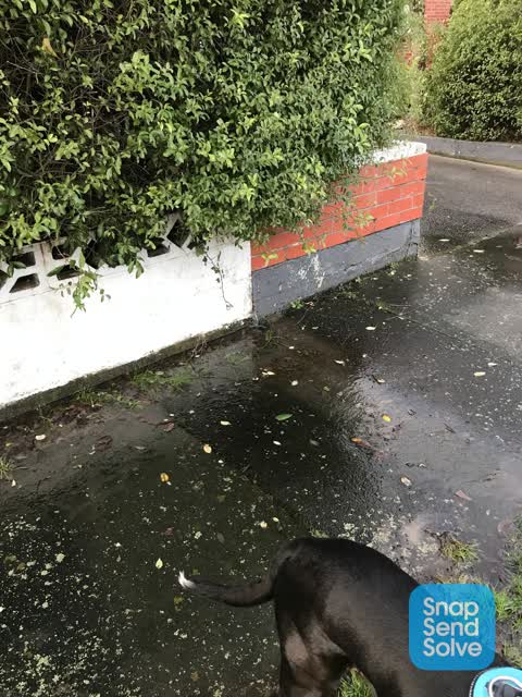 Flooding, a report photo