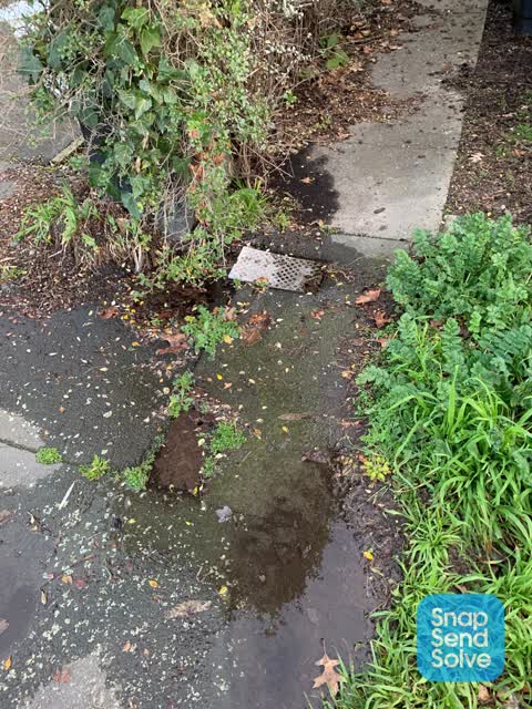 Water Leak, a report photo